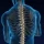 Back-Pain-Patients-1-1 An x-ray style that shows the spine inside a human body.