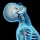 whiplash-1 An x-ray style that shows the neck area from the side when the neck is afflicted by whiplash.