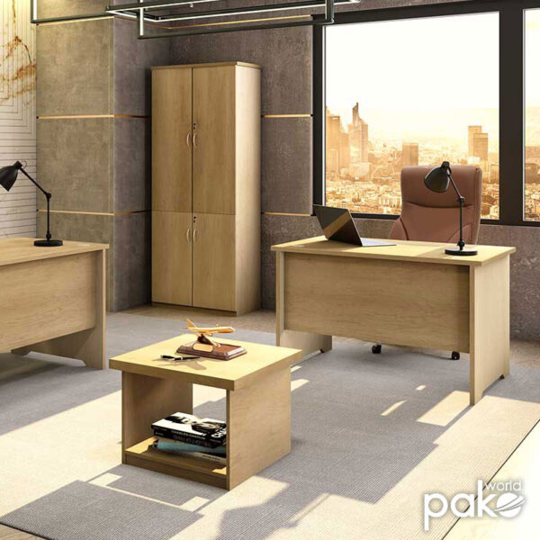 Ãñáöåßï åñãáóßáò åðáããåëìáôéêü Amazon  ÷ñþìá sonoma 120x75x75åê