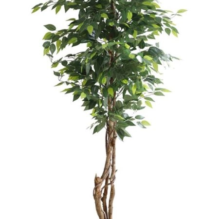FICUS TREE NP5208_150 ΥΨΟΣ 150cm