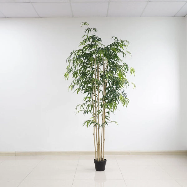 BAMBOO NP0070_210 ΥΨΟΣ 210cm