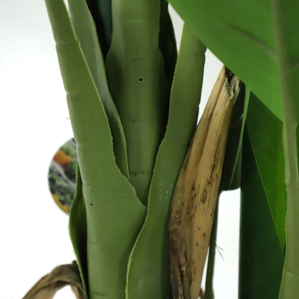 BANANA TREE NP017_240_22  ΥΨΟΣ 240cm