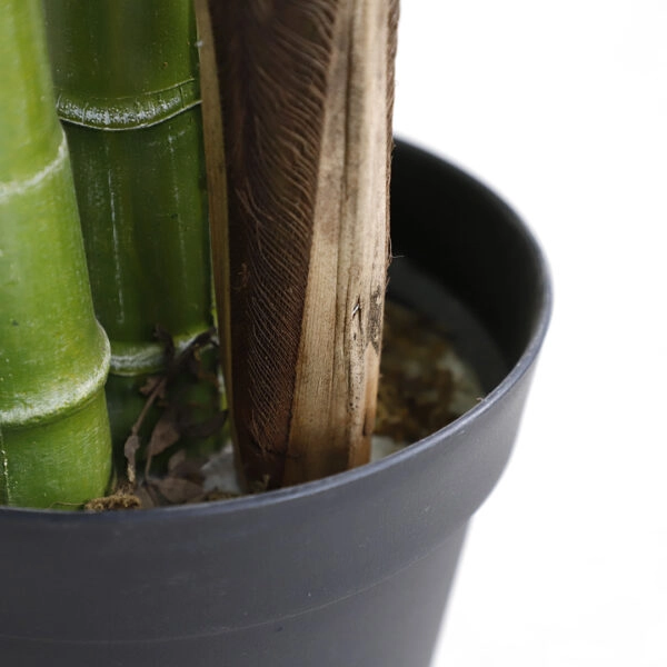 PALM TREE  NP5500_240_22 ΥΨΟΣ 240cm