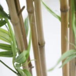 BAMBOO  NP6321_180_22  ΥΨΟΣ 180cm