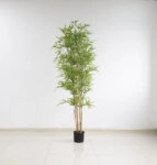 BAMBOO  NP6321_180_22  ΥΨΟΣ 180cm
