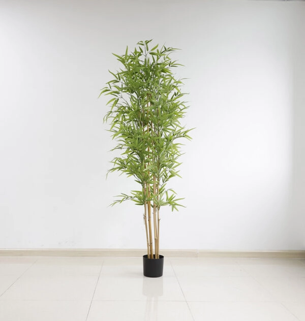 BAMBOO  NP6321_180_22  ΥΨΟΣ 180cm