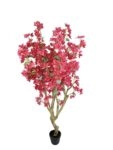 BOUGAINVILLEA  NP0422_170  ΥΨΟΣ 170cm