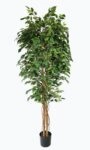 FICUS TREE NP230_210_UV  ΥΨΟΣ 210cm