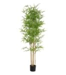 BAMBOO  NP6321_180_22  ΥΨΟΣ 180cm