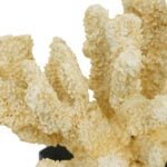 Artekko Coral Μπεζ Διακοσμητικό Κοράλλι Ρητίνης σε Βάση (28x18x22)cm