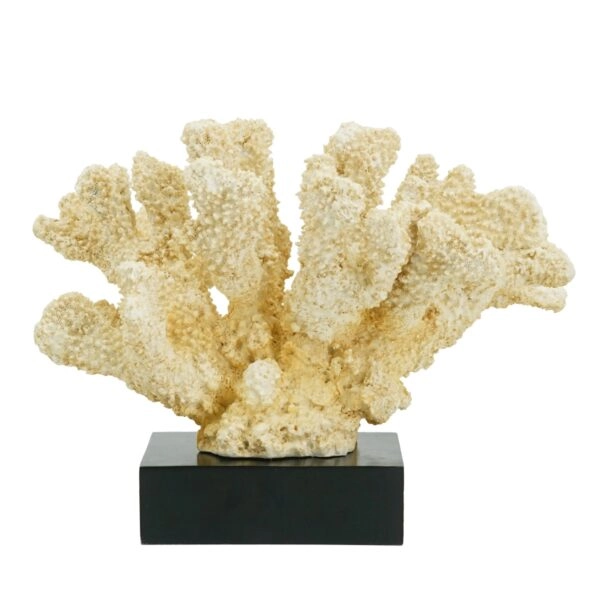 Artekko Coral Μπεζ Διακοσμητικό Κοράλλι Ρητίνης σε Βάση (28x18x22)cm