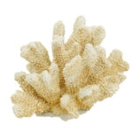 Artekko Coral Μπεζ Διακοσμητικό Κοράλλι Ρητίνης (22x17x14)cm