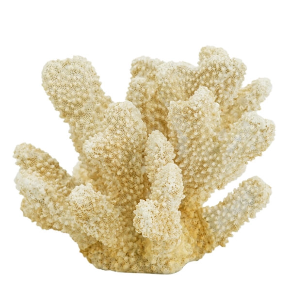 Artekko Coral Μπεζ Διακοσμητικό Κοράλλι Ρητίνης (22x17x14)cm