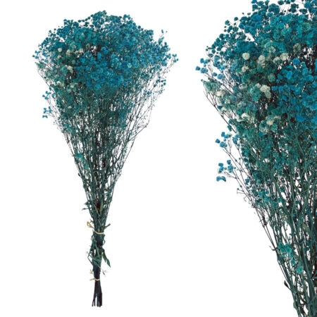 ΚΛΑΔΙ ΜΠΛΕ ΓΥΨΟΦΥΛΛΗ ΑΠΟΞΗΡΑΜΕΝΟ 6~10 ΤΜΧ/ΜΑΤΣΟ Υ70~80cm