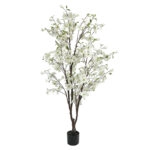 ΔΕΝΤΡΟ ΚΡΑΝΙΑ ΛΕΥΚΟ ΣΕ ΓΛΑΣΤΡΑ - Y165cm 2/KIB