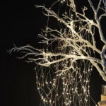 Wuns 150 Διακοσμητικά LED (153x1x1)cm