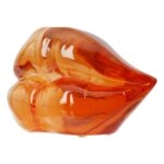 Διακοσμητικό Αντικείμενο Στόμα Ακρυλικό Πορτοκαλί Ροζ 2 Ποικιλία 17X7X10Cm 17X7X10Cm