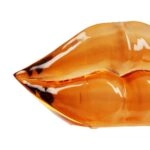 Διακοσμητικό Αντικείμενο Στόμα Ακρυλικό Πορτοκαλί Ροζ 2 Ποικιλία 17X7X10Cm 17X7X10Cm