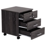 ΣΥΡΤΑΡΙΕΡΑ ΓΡΑΦΕΙΟΥ HAYDEN HM2282.01 ΣΕ ΑΝΘΡΑΚΙ ΧΡΩΜΑ 39x39,5x46,5
