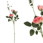 ΚΛΑΔΙ ΤΡΙΑΝΤΑΦΥΛΛΟ REAL TOUCH ΡΟΖ ΜΕ 5 ΚΛΑΔΙΑ ~ 3 ΛΟΥΛΟΥΔΙΑ  - Υ75cm 24/240ΚΙΒ