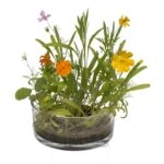 Λουλούδια Σε Κονσέρβα