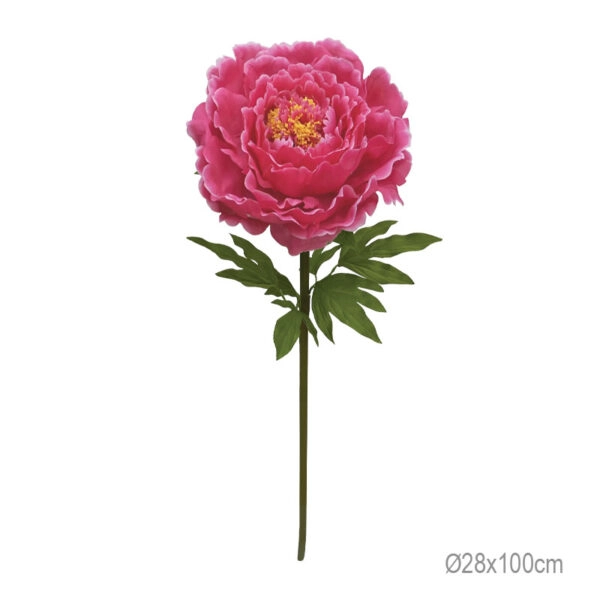 ΚΛΑΔΙ ΠΑΙΩΝΙΑ ΦΟΥΞ ΓΙΓΑΣ - Φ28x100cm 12/ΚΙΒ