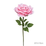 ΚΛΑΔΙ ΤΡΙΑΝΤΑΦΥΛΛΟ ΦΟΥΞ ΓΙΓΑΣ - Φ37x116cm 12/ΚΙΒ