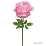 ΚΛΑΔΙ ΤΡΙΑΝΤΑΦΥΛΛΟ ΦΟΥΞ ΓΙΓΑΣ - Φ40x125cm 6/ΚΙΒ