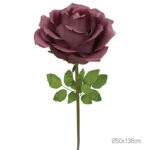 ΚΛΑΔΙ ΤΡΙΑΝΤΑΦΥΛΛΟ ΜΠΟΡΝΤΩ ΓΙΓΑΣ - Φ50x136cm 6/ΚΙΒ