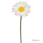 ΚΛΑΔΙ ΜΑΡΓΑΡΙΤΑ ΡΟΖ ΓΙΓΑΣ- Φ30x90cm 24/ΚΙΒ