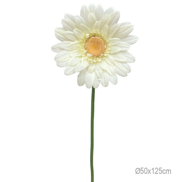 ΚΛΑΔΙ ΜΑΡΓΑΡΙΤΑ ΕΚΡΟΥ ΓΙΓΑΣ - Φ50x125cm 24/ΚΙΒ