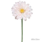 ΚΛΑΔΙ ΜΑΡΓΑΡΙΤΑ ΡΟΖ ΓΙΓΑΣ - Φ50x125cm 24/ΚΙΒ