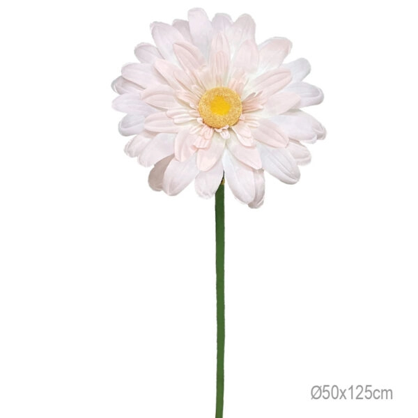 ΚΛΑΔΙ ΜΑΡΓΑΡΙΤΑ ΡΟΖ ΓΙΓΑΣ - Φ50x125cm 24/ΚΙΒ