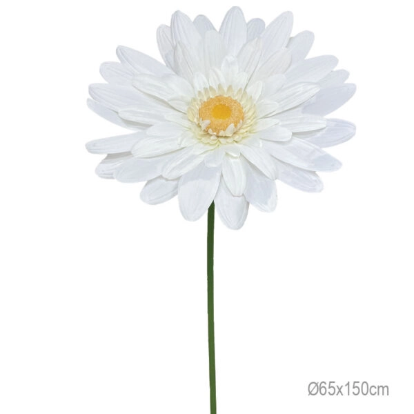 ΚΛΑΔΙ ΜΑΡΓΑΡΙΤΑ ΛΕΥΚΟ ΓΙΓΑΣ XXL - 65x65x150cm 12/ΚΙΒ