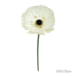 ΚΛΑΔΙ ΑΝΕΜΩΝΗ ΕΚΡΟΥ ΓΙΓΑΣ - Φ35x105cm 12/ΚΙΒ