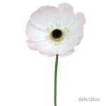 ΚΛΑΔΙ ΑΝΕΜΩΝΗ ΡΟΖ ΓΙΓΑΣ - Φ45x128cm 12/ΚΙΒ