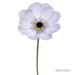 ΚΛΑΔΙ ΑΝΕΜΩΝΗ ΛΙΛΑ ΓΙΓΑΣ - Φ45x128cm 12/ΚΙΒ