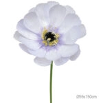 ΚΛΑΔΙ ΑΝΕΜΩΝΗ ΛΙΛΑ ΓΙΓΑΣ - Φ55x150cm 12/ΚΙΒ