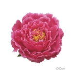 ΚΡΕΜΑΣΤΟ ΑΝΘΟΣ ΠΑΙΩΝΙΑ ΦΟΥΞ ΓΙΓΑΣ - Φ40cm 6/ΚΙΒ