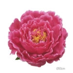 ΚΡΕΜΑΣΤΟ ΑΝΘΟΣ ΠΑΙΩΝΙΑ ΦΟΥΞ ΓΙΓΑΣ - Φ50cm 6/ΚΙΒ