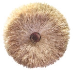 ΔΙΑΚΟΣΜΗΤΙΚΟ ΤΟΙΧΟΥ ΣΤΡΟΓΓΥΛΟ ABOR HM4717 ΙΝΕΣ SISAL ΦΥΣΙΚΟ Φ60εκ.