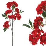 ΚΛΑΔΙ ΚΟΚΚΙΝΟ ΠΛΟΥΜΕΡΙΑ Φ46/100cm 12/72ΚΙΒ