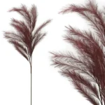 FOAM ΜΠΟΡΝΤΩ ΠΟΥΠΟΥΛΑ - Y113/60cm 12/120KIB
