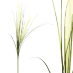 FOAM ΦΥΣΙΚΟ ΒΟΥΡΛΟ Υ94/53cm 24/240KIB