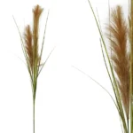 FOAM ΚΑΦΕ ΒΟΥΡΛΟ Υ94/53cm 24/240KIB