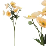 ΚΛΑΔΙ ΠΑΠΑΡΟΥΝΑ REAL TOUCH ΕΚΡΟΥ/ΠΟΡΤΟΚΑΛΙ ΜΕ 3 ΚΛΑΔΙΑ ~ 8 ΛΟΥΛΟΥΔΙΑ - Y65cm 24/288ΚΙΒ