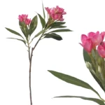 ΚΛΑΔΙ ΠΛΟΥΜΕΡΙΑ REAL TOUCH ΦΟΥΞ ΜΕ 2 ΚΛΑΔΙΑ ~ 10 ΛΟΥΛΟΥΔΙΑ - Υ83cm 12/96ΚΙΒ