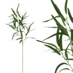 ΚΛΑΔΙ ΠΡΑΣΙΝΑΔΑΣ ΕΛΙΑ REAL TOUCH ΑΝΟΙΧΤΟ ΠΡΑΣΙΝΟ ΜΕ 6 ΚΛΑΔΙΑ - Υ94cm 24/432ΚΙΒ