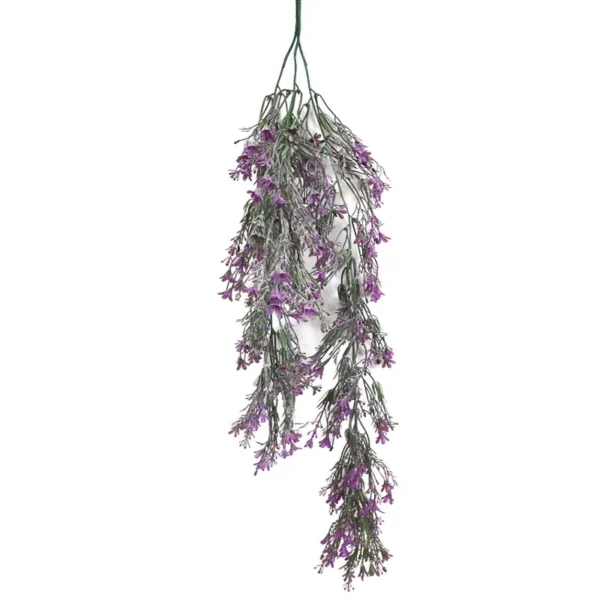 ΡΙΖΑ ΚΡΕΜΑΣΤΗ ΦΟΥΞ ΛΕΒΑΝΤΑ ΠΡΑΣΙΝΑΔΑ - Υ80cm 3/48ΚΙΒ