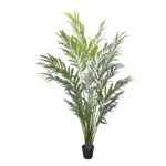 ΔΕΝΤΡΟ REAL TOUCH ΦΟΙΝΙΚΑΣ ΣΕ ΚΑΣΠΩ - Y250cm 1/KIB